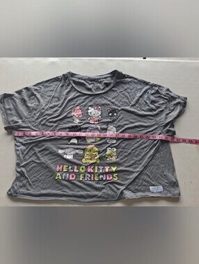 Hello Kitty and Friends Gray Women Graphic Tee